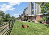 10822 Quail Creek Dr - Photo 46