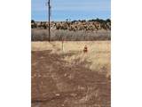  Tbd Pinkerton Rd - Photo 8