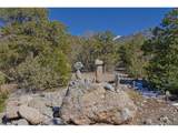 3608 Splendid Ter - Photo 8