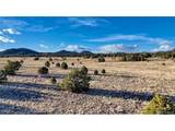 1738 12th Trl - Photo 22