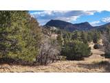 47 White Cloud Dr - Photo 13