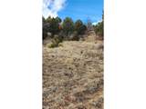 47 White Cloud Dr - Photo 28