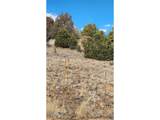 47 White Cloud Dr - Photo 29