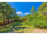 7169 Dark Horse Pl - Photo 43