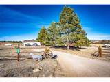 2487 Pinto Trl - Photo 5