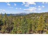 401 Shady Holw - Photo 29