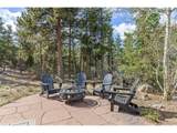 401 Shady Holw - Photo 43