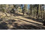 3132 Middle Fork Vis - Photo 10