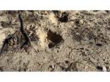 3132 Middle Fork Vis - Photo 13