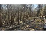 3132 Middle Fork Vis - Photo 17