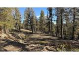 3132 Middle Fork Vis - Photo 18