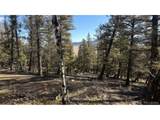 3132 Middle Fork Vis - Photo 19
