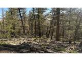 3132 Middle Fork Vis - Photo 20