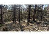 3132 Middle Fork Vis - Photo 21
