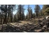 3132 Middle Fork Vis - Photo 4