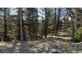 3132 Middle Fork Vis - Photo 9