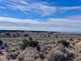 663 Slegers Rd - Photo 2