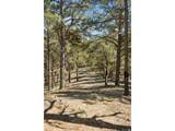 17170 Lodgepole Rd - Photo 37
