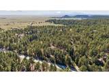 17170 Lodgepole Rd - Photo 4