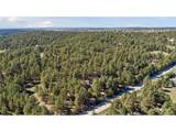 17170 Lodgepole Rd - Photo 6