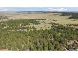 17170 Lodgepole Rd - Photo 7