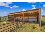 12694 Roundup Rd - Photo 36