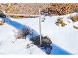 815 Cougar Run - Photo 22