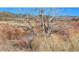 7542 Indian Creek Rd - Photo 11