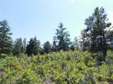 6344 Troon Ct - Photo 11