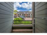 457 Black Feather Loop - Photo 33