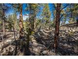 21160 Skyline Dr - Photo 10