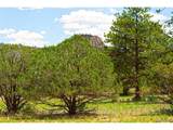 8 Big Sandy Estaes - Photo 27