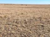 9320 Mulberry Rd - Photo 3