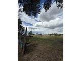 21064 Kelly St - Photo 23