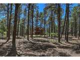 30 Moffat Ct - Photo 5