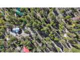 22680 County Road 292 - Photo 42