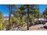 1335 Sequoia Dr - Photo 14