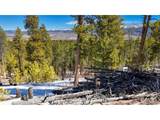 1335 Sequoia Dr - Photo 15
