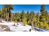 1335 Sequoia Dr - Photo 16
