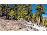1335 Sequoia Dr - Photo 17
