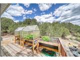 29650 Pinon Ln - Photo 36
