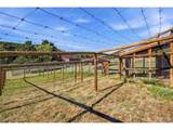 28886 Cragmont Dr - Photo 23