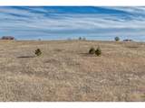 16670 Misfit Crew Hts - Photo 20