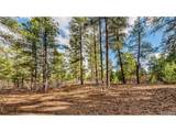 436 Fox Farm Rd - Photo 16