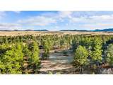 436 Fox Farm Rd - Photo 27
