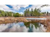 436 Fox Farm Rd - Photo 41