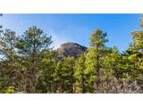 436 Fox Farm Rd - Photo 48