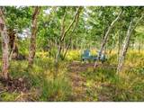 210 Pine Ridge Rd - Photo 40