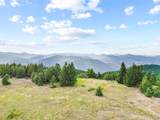 11917 Flat Top Trl - Photo 2