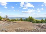 11917 Flat Top Trl - Photo 6